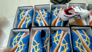 sepatu tenis meja badminton terbaru terbaik dan terlengkap COD