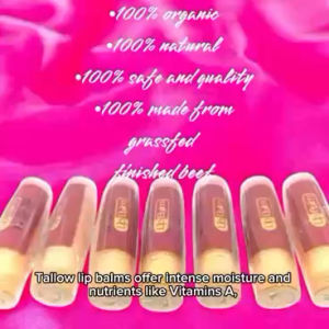 Tallow tinted lipbalm (tallow)