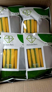 Benih Jagung Manis Unggul Gulaku Permata Baru