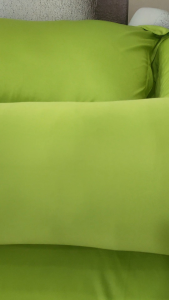 Bộ grap thun lạnh Hàn Quốc màu xanh lá xanh bơ bộ ga thun