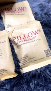 PUPUK PILOW SLOW RELEASE (1 box isi 10 sachet)
