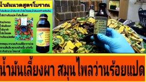 น้ำมันเลียงผาของแท้ 100%