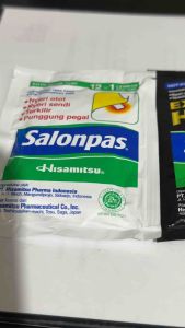 SALONPAS HISAMITSU PAIN RELIEF 1 PACK/10PLASTER