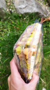 Buah ciplukan/golden berry/cecenet segar 1/2 kg