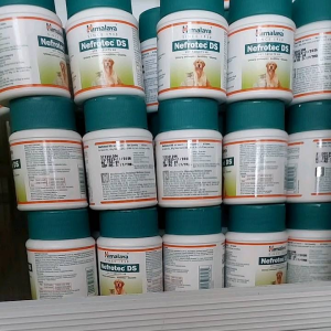 NEFROTEC DS 60 tablets for Cats Dogs