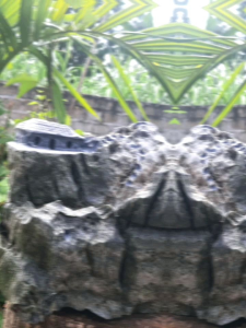 đá cảnh bonsai đã tạo rãnh trồng cây ký đá cao từ 25-30 cm