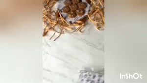 Wax Paper / Kertas Baking Laminasi Motif Uk 15 x 15 18 x 18  cm ~ FOOD GRADE 28 GSM [ 50 PCS ].