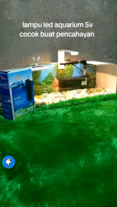 lampu led aquarium 5v biru 8mata