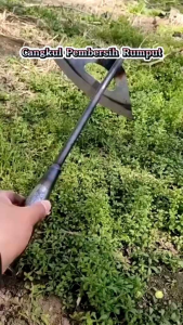 CANGKUL MINI / WANGKIL UNTUK RUMPUT TAMAN DAN KEBUN Bercocok Tanam para pecinta tamancangkulminicangkulrumputcangkulpembersihrumput