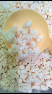 BIBIT KEFIR grain 25/50 gram asli dipakai berulang ulang