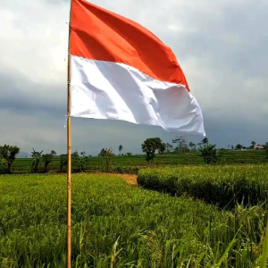 BENDERA MERAH PUTIH BENDERA INDONESIA
