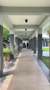 FULL SET Baju Melayu Anak Laki Laki Teluk Belange Cekek Musang Pakaian Muslim Koko Cowok Adat Melayu Fashion(SUDAH TERMASUK TANJAK & SONGKET)