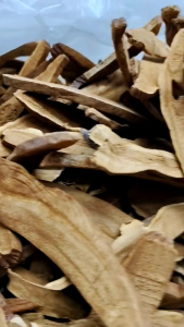 เห็ดหลินจือแดง เห็ดหลินจือ หลินจือแดง Lingzhi mushroom ขนาด 1 กิโลกรัม