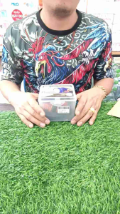 หัวไฟฉายคาดหัวสตาร์รุ่นส่องไกล 611 แสงขาว 500w.