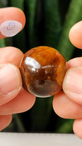 ไทเกอร์ อายส์ ลูกกลม🔸Tiger eye Sphere