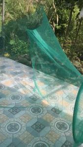 Dớn Đại Lớn Đường kính vòng 58cm Tổng chiều dài 45m bao gồm cánh mỗi bên 18 Met Mình 27 Met