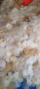 EMPING MELINJO KEBUMEN FULL KERING UK KECIL (BIJI 1-2) KEMASAN 1KG