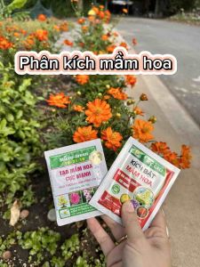 Phân kích ra hoa Micro green NPK 16-31-16 gói 10gr tạo mầm hoa cực mạnh