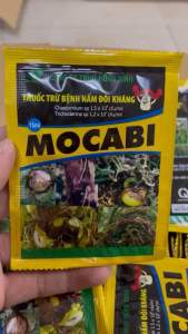 Sản phẩm trừ nấm sinh học Mocabi - Trừ nhiều loại nấm trên cây trồng sinh học cách ly ngắn
