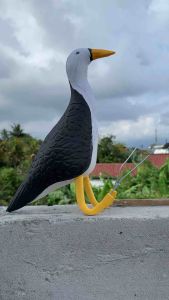 Patung Ruak Ruak Kareo: Desain Unik & Asli