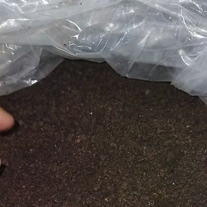 1kg oreo bubuk halus dan kering / bbuk oreo toping berbagai macam minuman/ oreo bbuk super