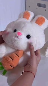 Gấu Bông Thỏ Ôm Cà Rốt Siêu Cute Dễ Thương Thú Nhồi Bông Đáng Yêu Đồ Chơi Trang Trí Quà Tặng Hoạt Hình