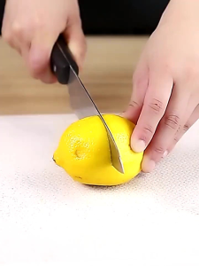 pemeras jeruk stainless