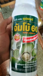 เร่งห่อ ซุปเปอร์จัมโบ้60 สำหรับกะหล่ำปลีและผักกาดขาวปลี 1000ซีซีสินค้าพน้อมส่ง ปุ๋ยซุปเปอร์จัมโบ้ 60 ปุ๋ยซุปเปอร์จัมโบ้60 - Lazada