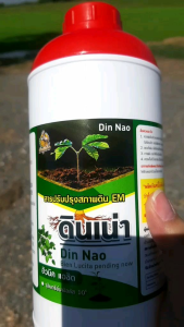 ดินเน่า 1 ขวด_ จุลินทรีย์ดินเน่า กู้ดิน แก้เรื่องดินเน่า ดินกระด้าง เชื้อรา