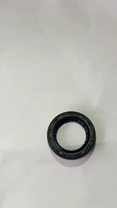 Seal Magnet Honda K44 & Aksesoris Motor Beat Fi