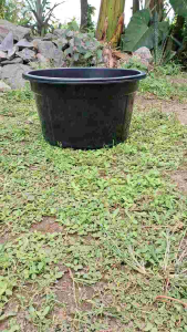 PROMO TERMURAH! bak mandi plastik JUMBO/ Bak kamar mandi jumbo 45 liter / Jolang Jumbo/ baskom Besar