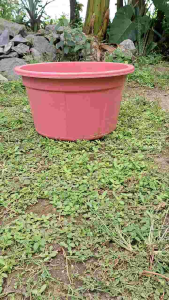 LANGSUNG DIKIRIM !! Bak 45 LITER READY 3 WARNA JUMBO | Bak besar jumbo| Bak mandi | Jolang Air jumbo