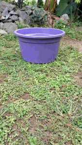 CUCI GUDANG !! Bak 45 LITER READY 3 WARNA Jumbo | Bak besar | Bak mandi | baskom jolang | Bak jumbo