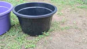 LANGSUNG DIKIRIM !! Bak 45 READY 3 WARNA Jumbo | Bak besar | Bak mandi | baskom