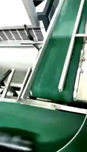 ครีม สลายไขมัน slimming belt