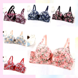Push Up 36~42 BC Cup Women Bra