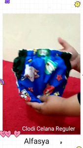 Popok Cuci Ulang Paket 6 Biji Popok Bayi Popok anak Clodi Tipe Celana Clodi termurah Popok Bayi Reg Jumbo Dan Reguler Popok Anak Bahan Kapas Popok Hemat Untuk Anak 10-22 Kg - Lazada