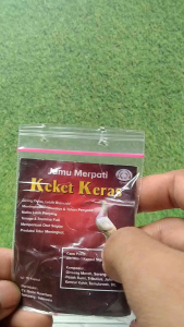 Jamu Merpati Keket Keras Isi 10 Kapsul