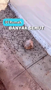 Wisellie anti semut pembasmi Semut Penghilang Semut Efektif dengan Aromatic