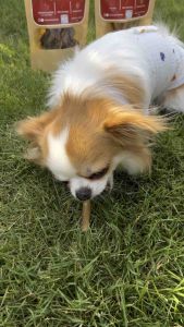 หูหมูอบแห้งและหูกระต่ายอบแห้ง / Pig ear and rabbit ear