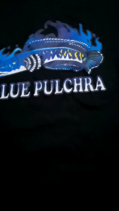 Kaos Channa Anak-Anak: Desain Unik & Nyaman