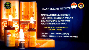 PROPOLIS MSS ASLI ORIGINAL 1 BOTOL 55ML
