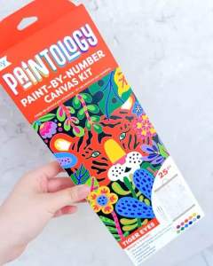 Paintology Paint-By-Number Canvas Kit