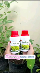 CORPCURE – Pupuk Cair Organik | Menyuburkan Tanaman Cepat | Untuk Padi Sayur & Buah