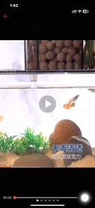 Creative desktop fish tank household small mini silent filter landscaping ecological tank plastic fish tank