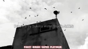 Paket Suara Panggil Tarik Inap BIRAHI SUPER PLATINUM Original