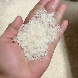 AROM PANDAN LONG GRAIN JASMINE: Exploring Pandan Flavor & Jasmine Rice