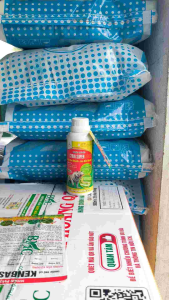 Thuốc trừa SÂU ĐUÔNG DỪA BỌ VÒI VOI BÙ XÈ NP CYRIN SUPER 250EC