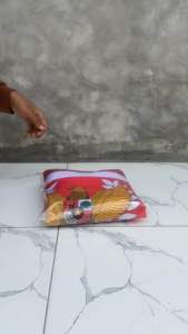 bendera background garuda padi kapas