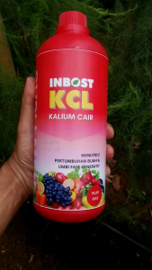 Pupuk cair INBOST KCL 1 Liter kalium cair plus zpt giberelin bio kcl